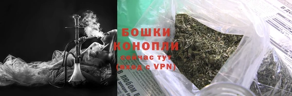 хмурый Бердск