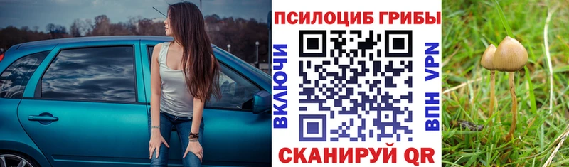 Псилоцибиновые грибы Cubensis Купить где Покров